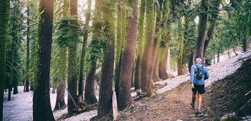 Sustainability Destinations Billboard