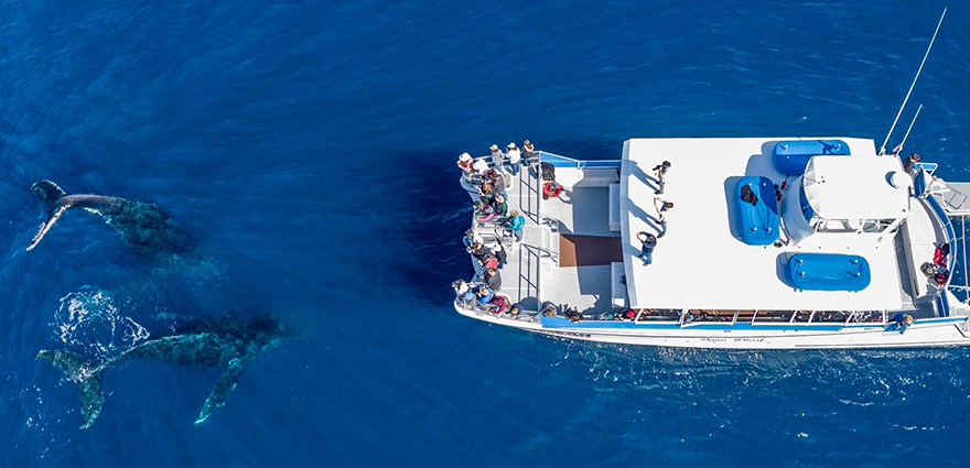 Tourism Works Donna Kalez