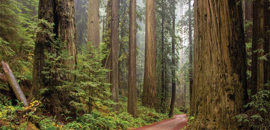 Tourism Works Justin Legge Billboard