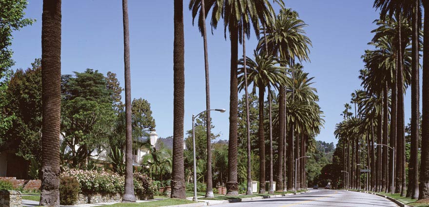 Tourism Works Profile - Robert Bibeault Billboard